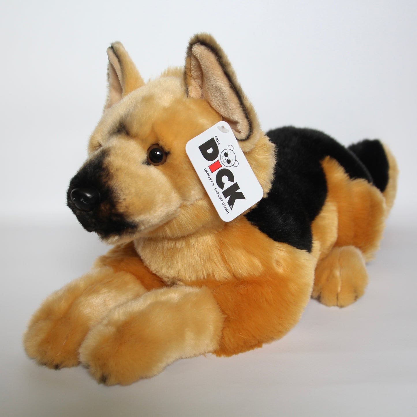 German Shepherd lying