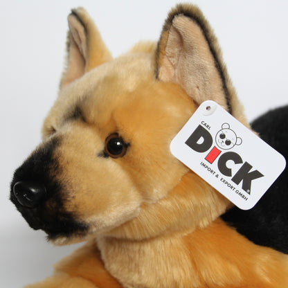 German Shepherd lying