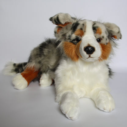 Australian Shepherd Dog Lying - Large