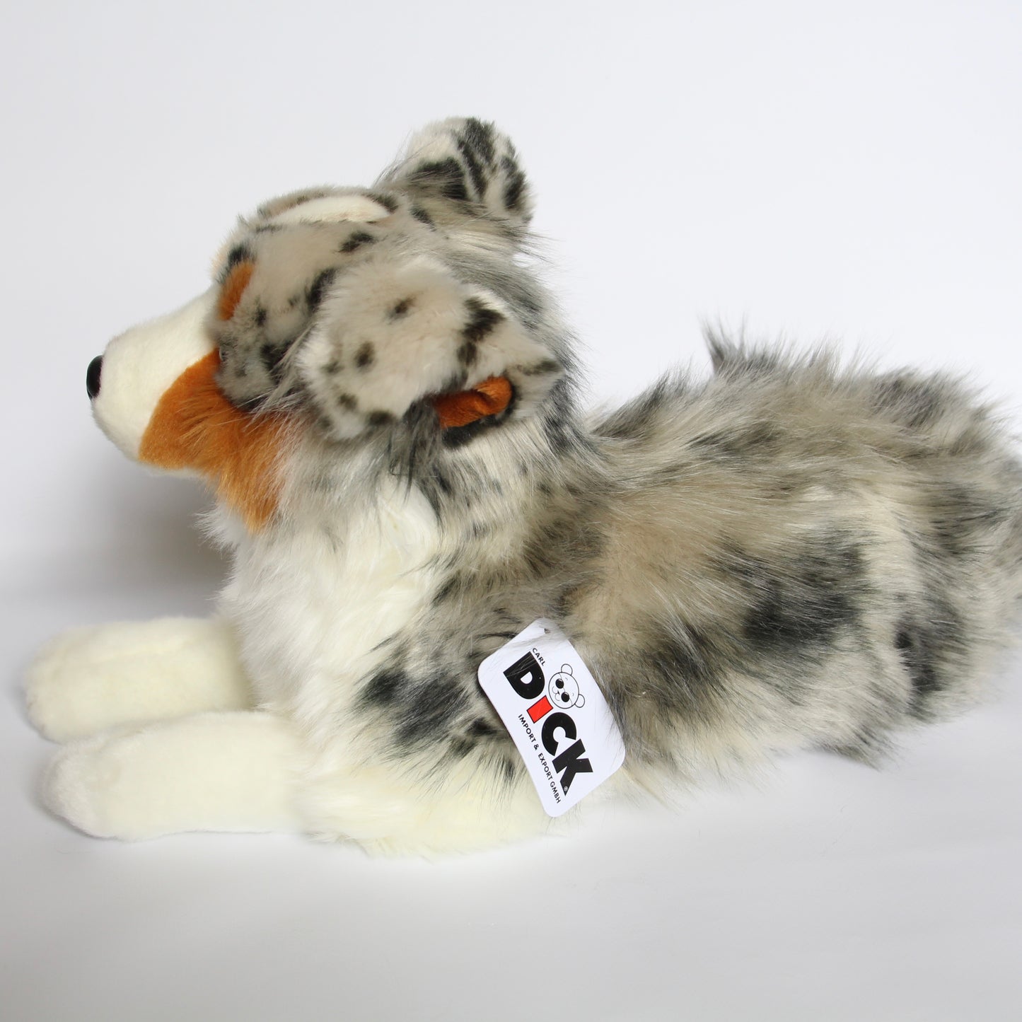 Australian Shepherd Dog Lying - Large