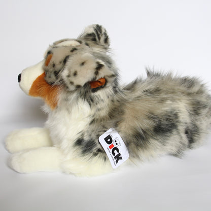 Australian Shepherd Dog Lying - Large