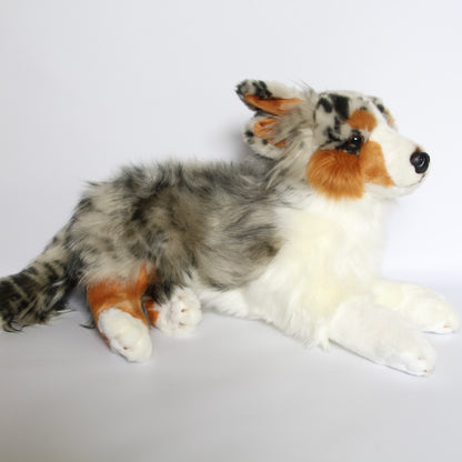 Australian Shepherd Dog Lying - Large