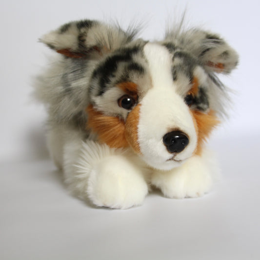 Australian Shepherd Dog Lying - Small