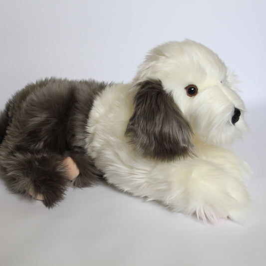 Bobtail Old English Sheepdog lying