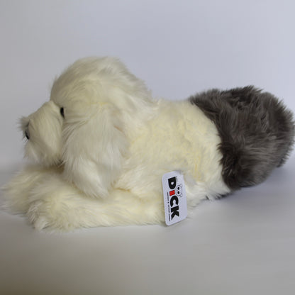 Bobtail Old English Sheepdog lying