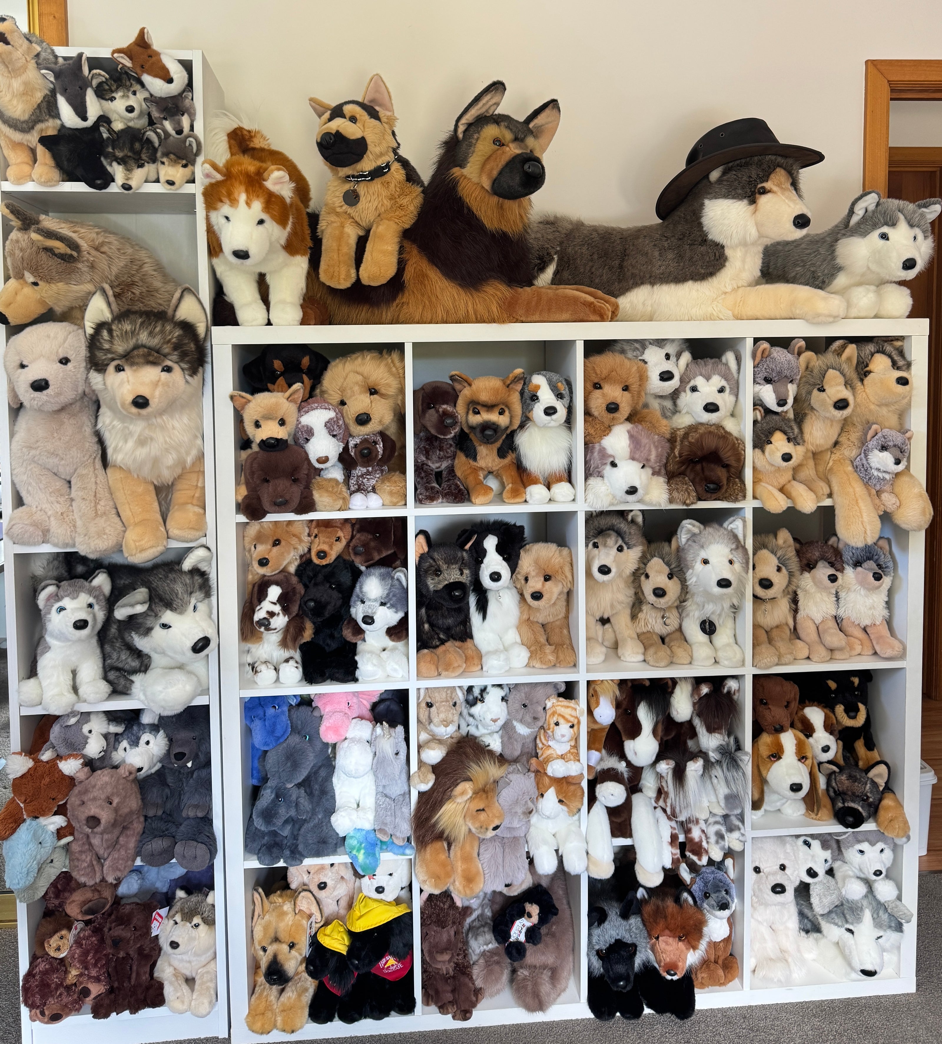 Douglas Cuddle Toys collection