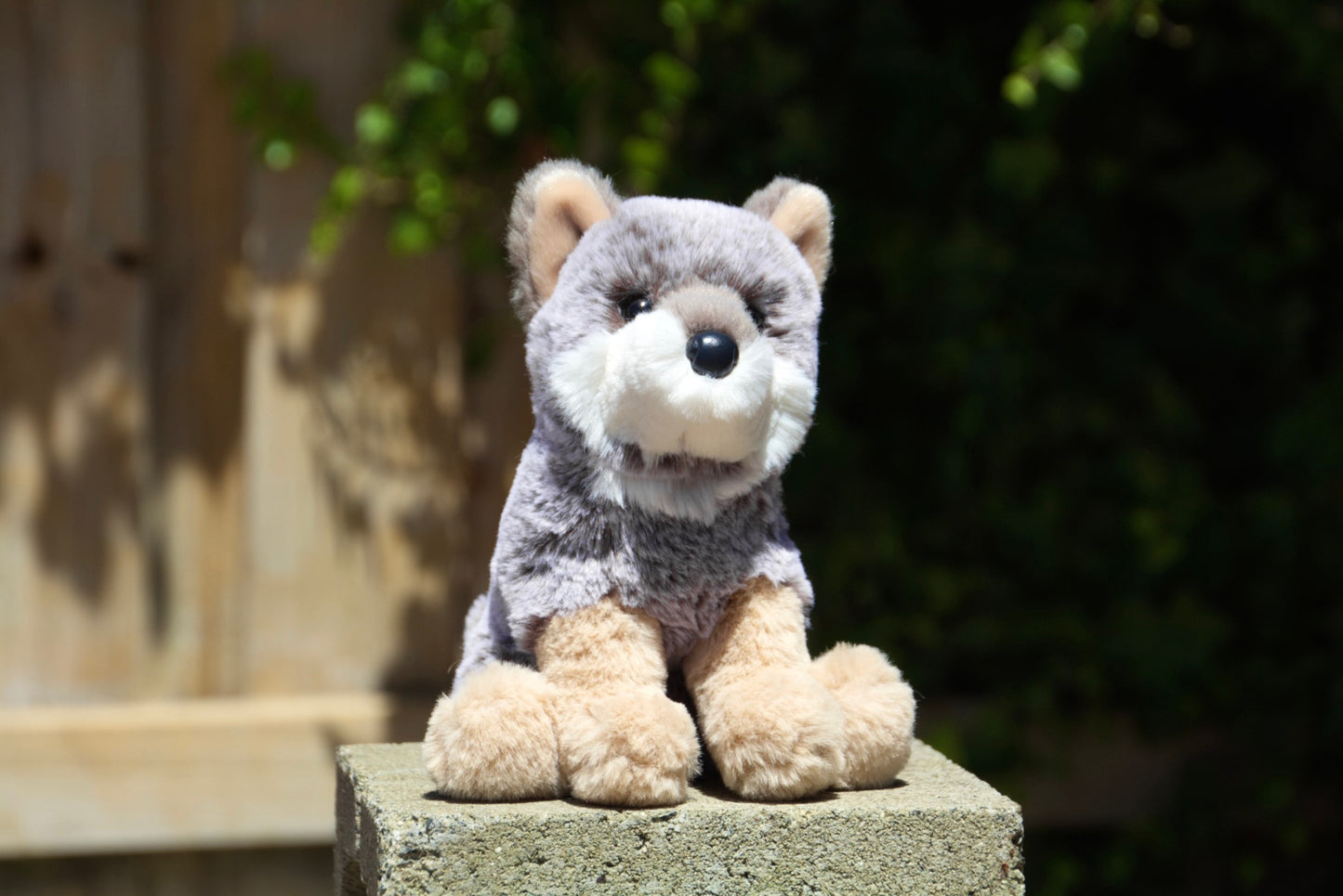 Mini Albie Wolf