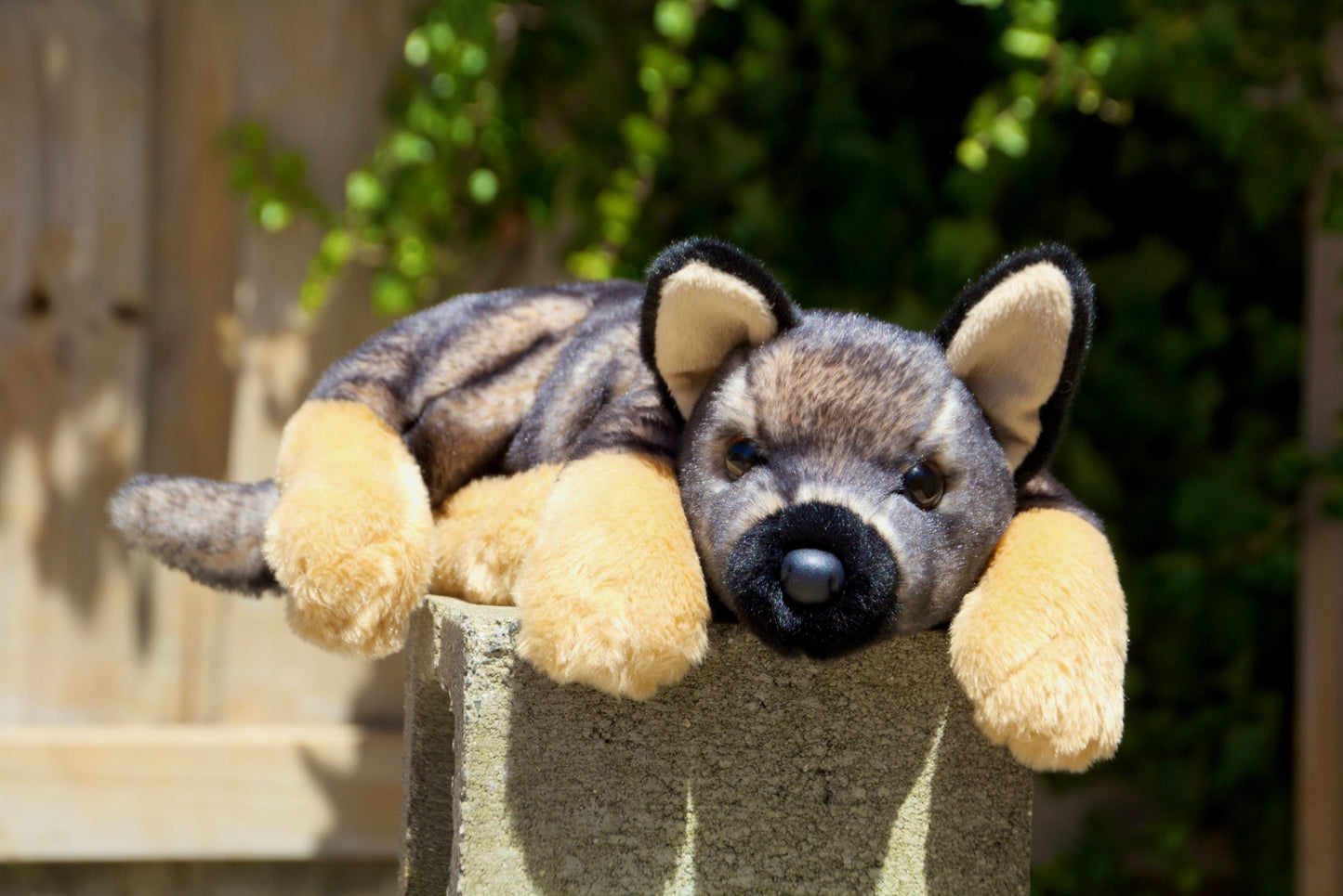 Mya German Shepherd