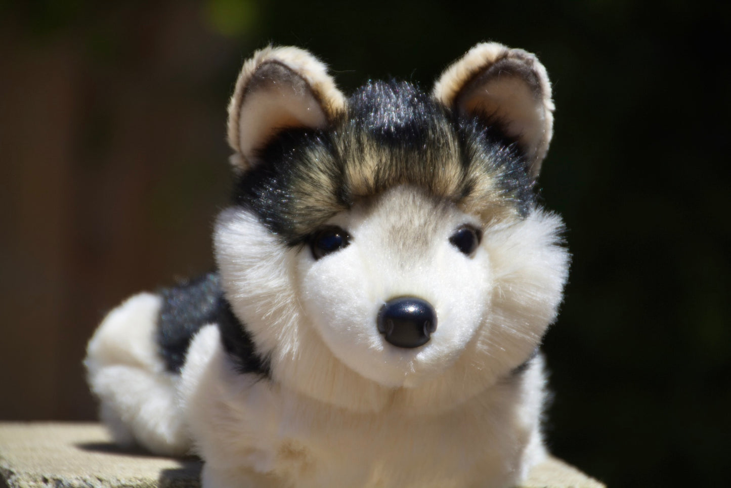 Douglas Cuddle Toys Phoenix Wolf