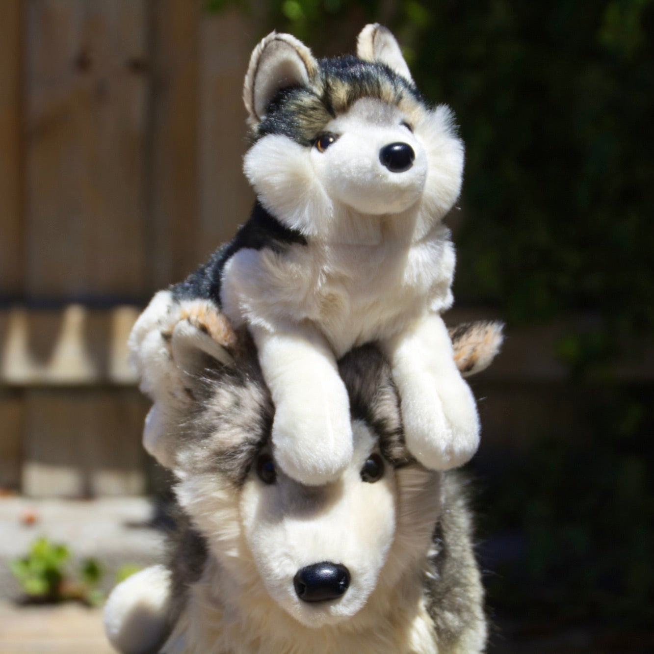 Douglas Cuddle Toys Smoke DLux Wolf