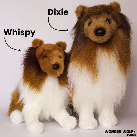 Whispy Sheltie
